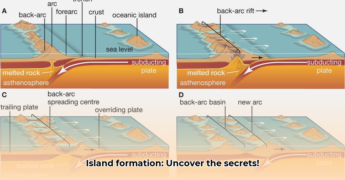 types-of-island-formation-processes